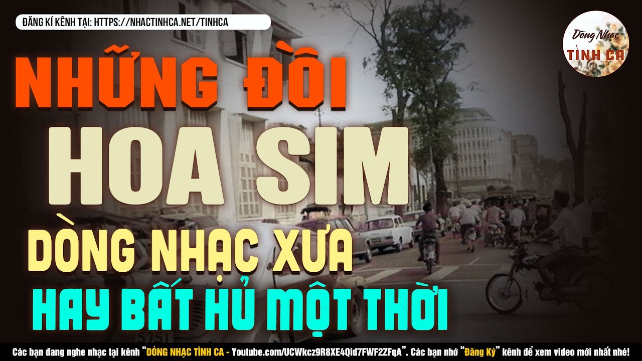 LK NHỮNG ĐỒI HOA SIM - Nhạc Xưa Hải Ngoại - Nhạc Xưa Hay Nhất Mọi Thời Đại - Top Nhạc Xưa Hiếm Có