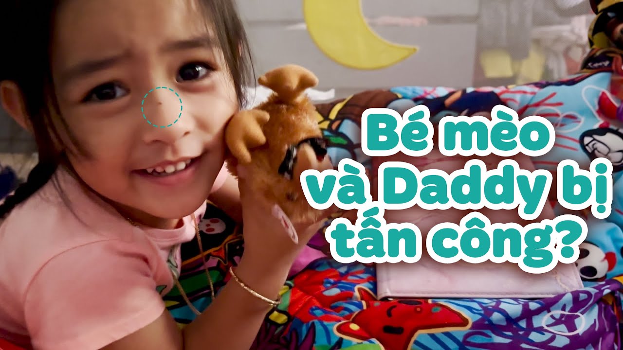 Thực Hư Vụ Việc Bé Mèo và Daddy Bị... Tấn Công: Sự Thật Là Gì? I Đức Tiến Official