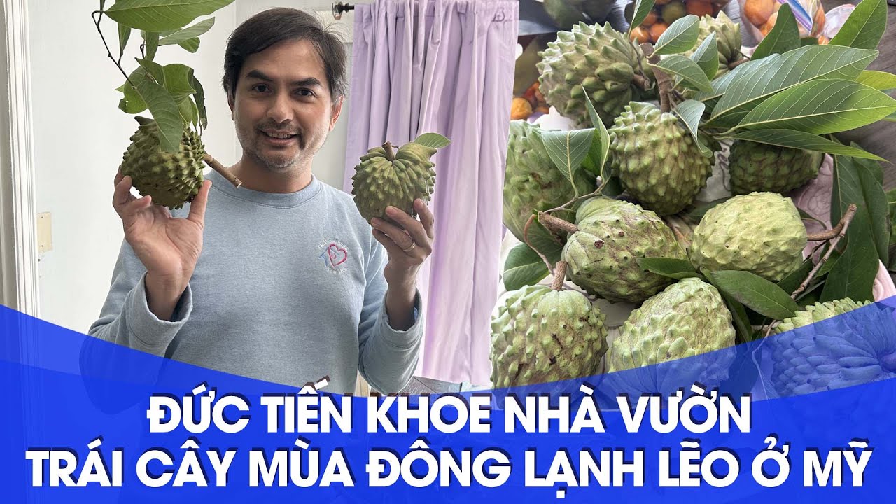 Đức Tiến khoe nhà vườn trái cây mùa Đông lạnh lẽo ở Mỹ_DucTienOfficial