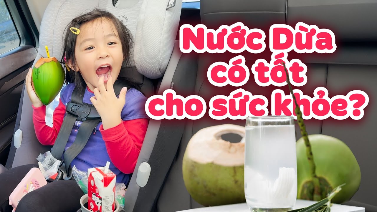 Nước Dừa Có Thực Sự Tốt Cho Sức Khỏe Khi Đang Bệnh? Một Ngày Đi Học Của Mèo ở Mỹ I Duc Tien Official