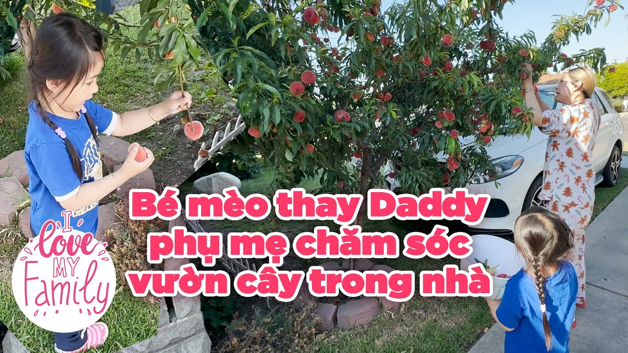 Bé mèo thay Daddy (Đức Tiến) cùng mẹ chăm sóc vườn cây trong nhà!_Đức Tiến Official