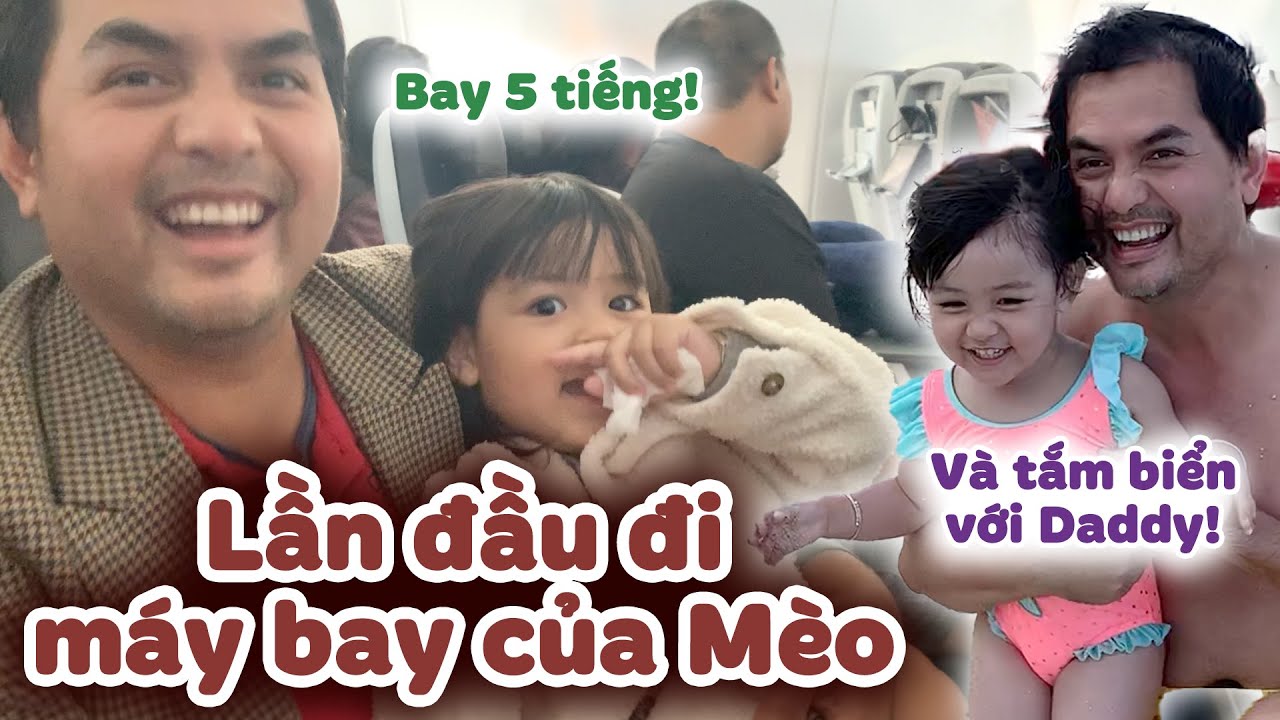 Vlog chưa từng chiếu! Mèo Lần Đầu Đi Máy Bay Với Daddy - Chuyến Bay Đầy Kịch Tính! DucTienOfficial