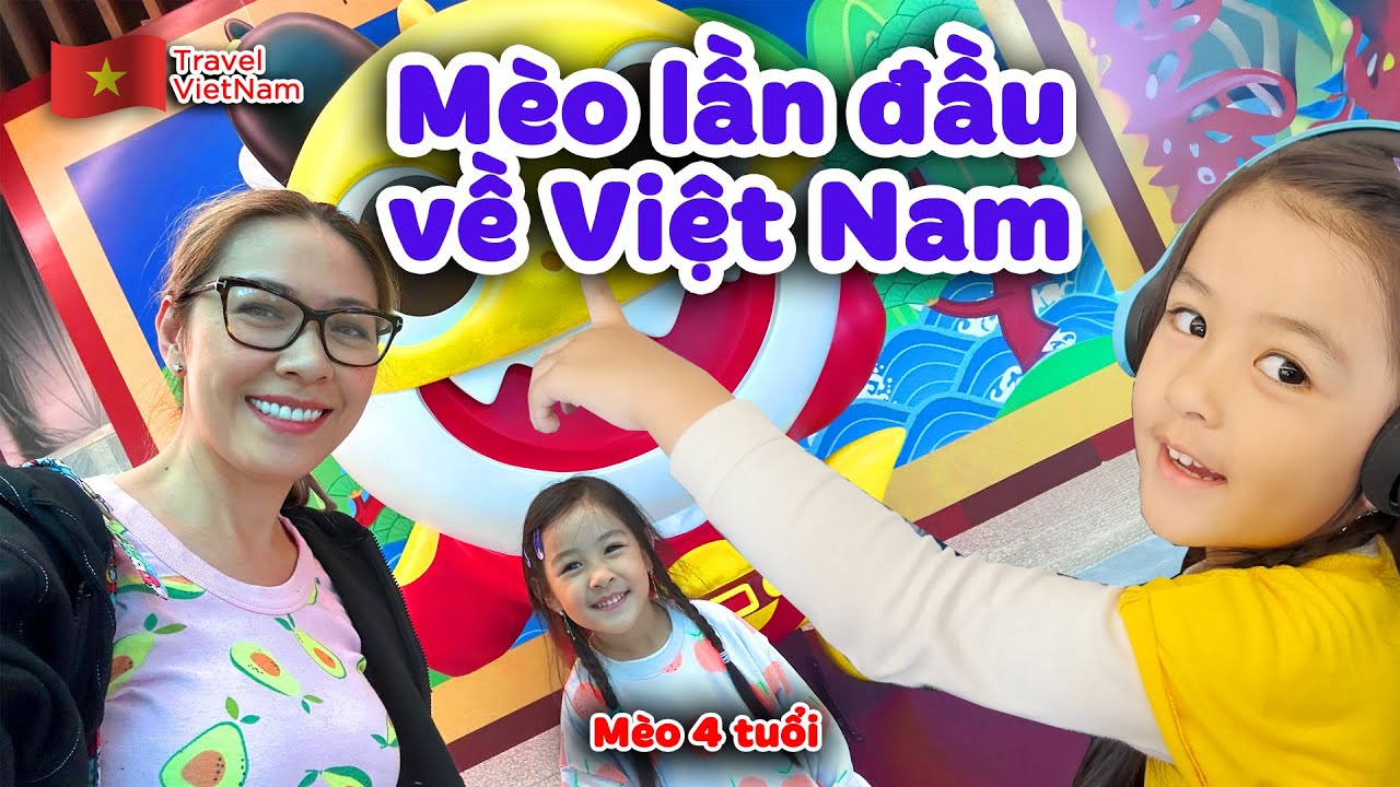 Mèo 4 Tuổi Về Việt Nam: Những Bất Ngờ Lớn Khi Lần Đầu Tiên Trở Về Quê Hương I Duc Tien Official