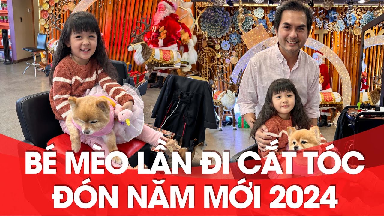 Bé Mèo lần đi cắt tóc đón năm mới 2024_DucTienOfficial