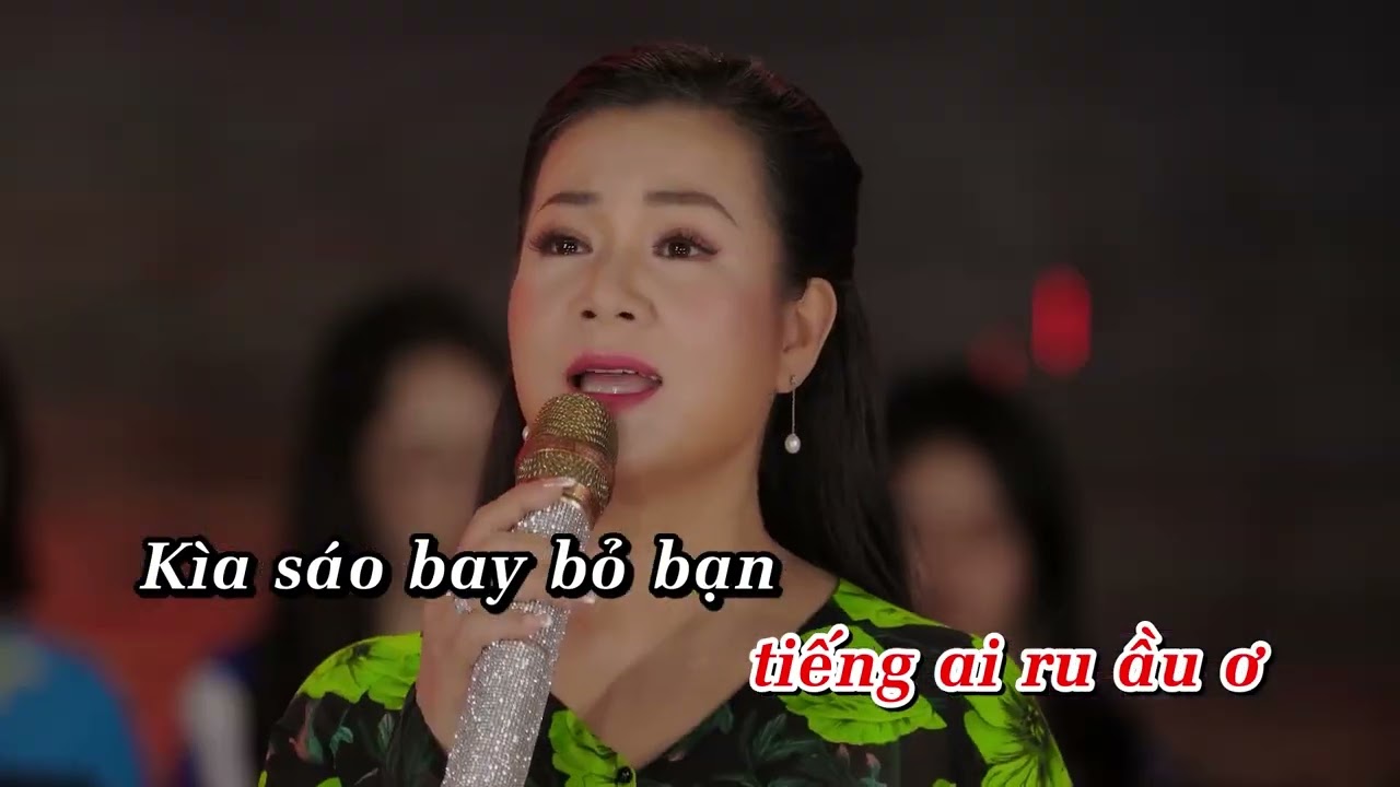 KARAOKE | ƯỚC LEM CHỮ ĐỜI | beat gốc Dương Hồng Loan (tone Nữ)