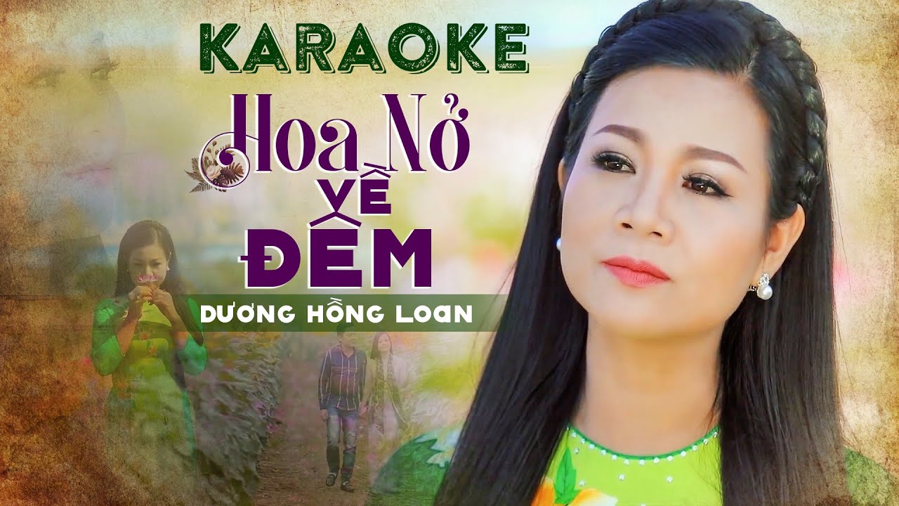 KARAOKE HOA NỞ VỀ ĐÊM - DƯƠNG HỒNG LOAN