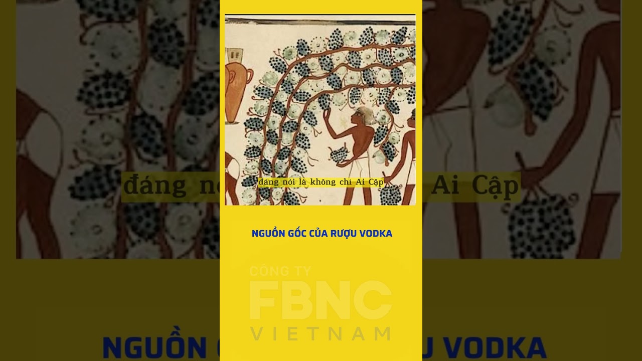 Nguồn gốc của rượu vodka