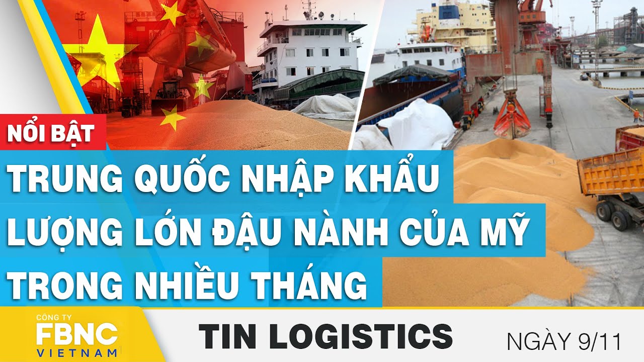 Trung Quốc nhập khẩu lượng lớn đậu nành của Mỹ trong nhiều tháng | Tin Logistics 9/11 | FBNC