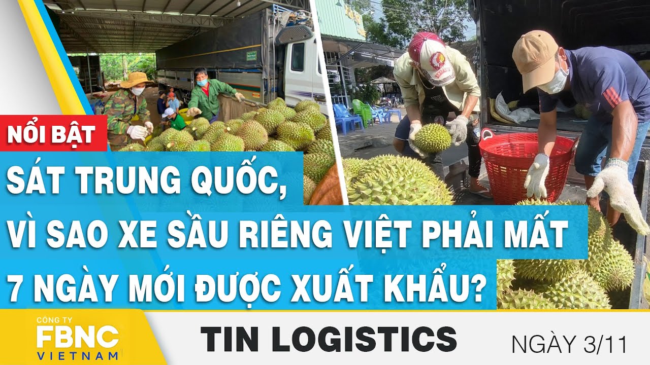 Sát Trung Quốc, vì sao xe sầu riêng Việt phải mất 7 ngày mới được xuất khẩu?,Tin Logistics 3/11,FBNC