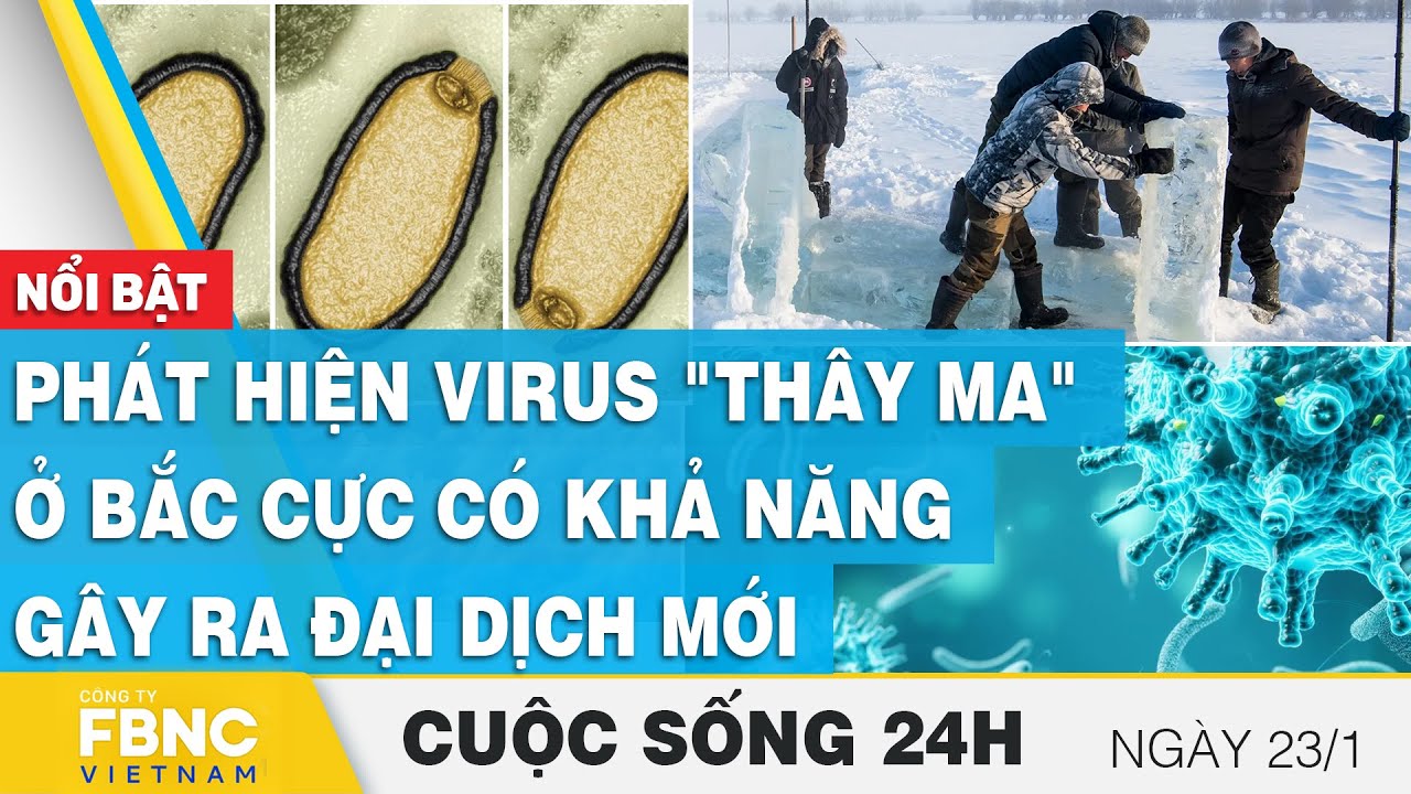 Phát hiện virus "thây ma" ở Bắc Cực có khả năng gây ra đại dịch mới  | Cuộc sống 24h | FBNC