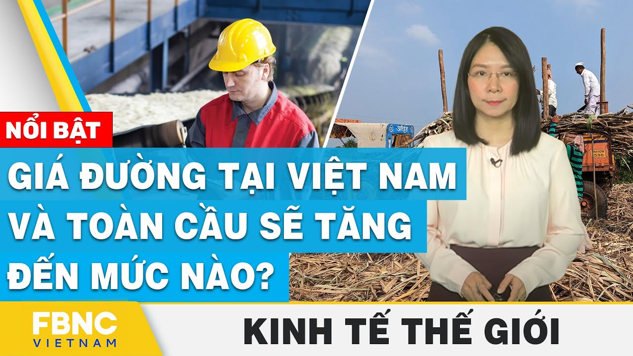 Giá đường tại Việt Nam và toàn cầu sẽ tăng đến mức nào? | Kinh tế thế giới | FBNC