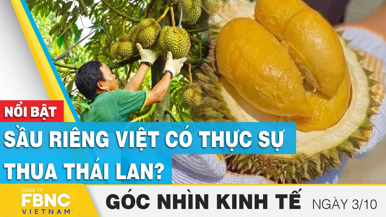 Sầu riêng Việt có thực sự thua Thái Lan?, Góc nhìn kinh tế 3/10 | FBNC