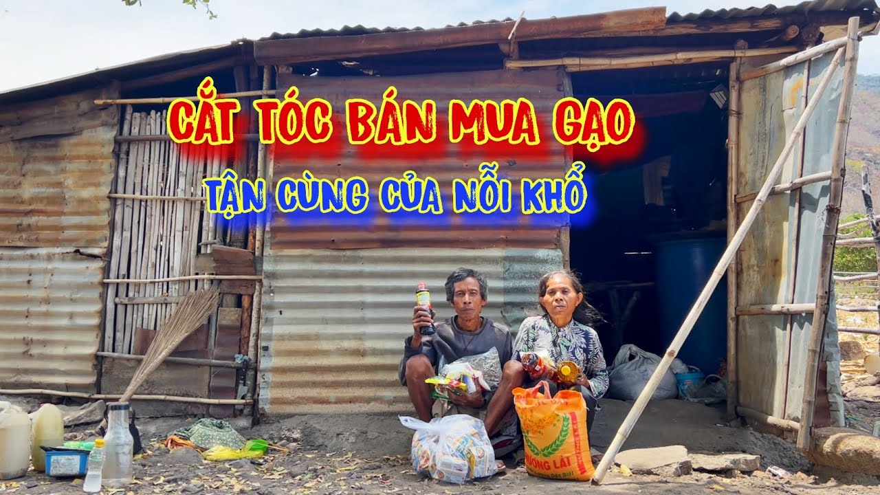 CẮT TÓC bán lấy tiền mua GẠO nuôi con, ĐÓI KHỔ ở trong rừng ăn LÁ CÂY duy trì sự sống - tập 1006