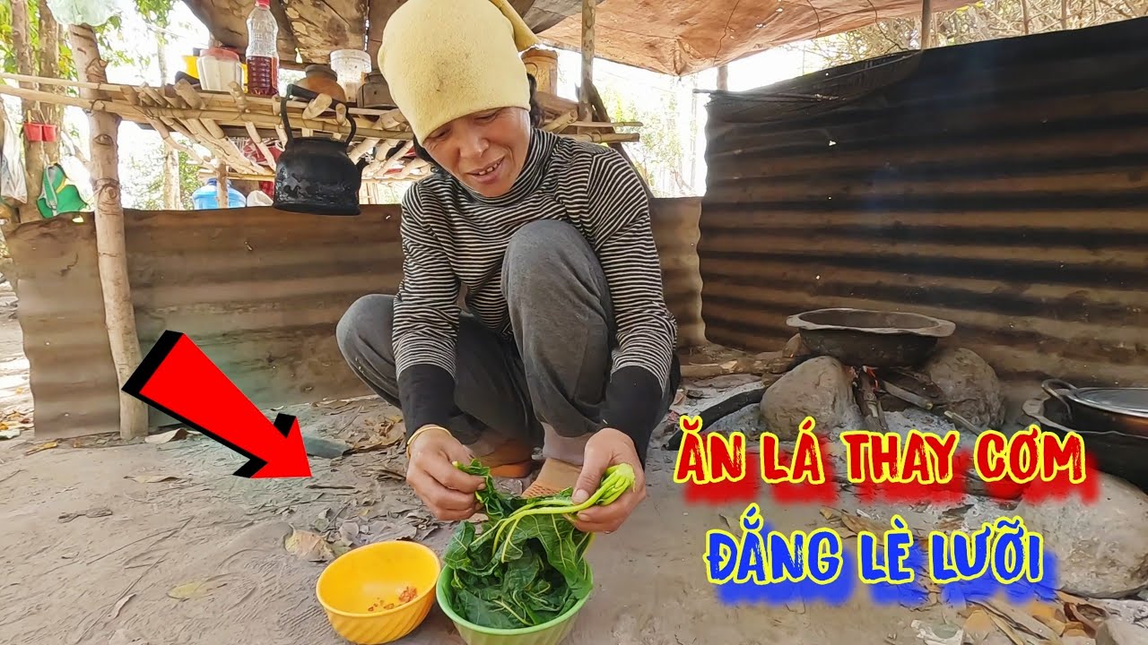 BỮA ĂN sáng của người nghèo, lá ĐU ĐỦ, món ăn đắng LE LƯỠI - tập 981