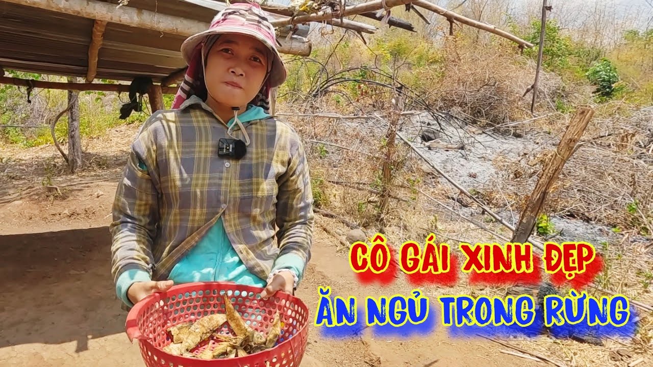 CÔ GÁI xinh đẹp, ĂN NGỦ trong rừng, ăn LÁ CÂY, cá thúi - tập 1019