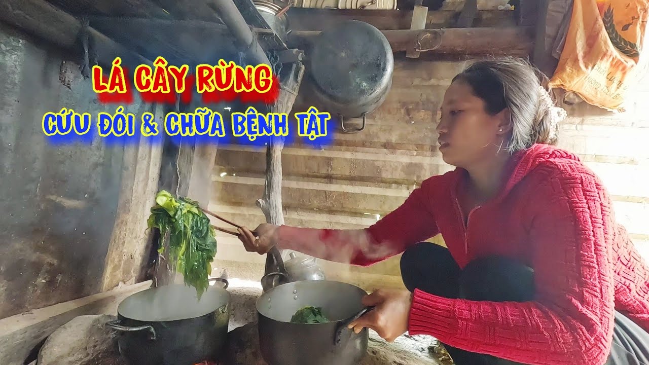 CÔ GÁI ở trong rừng, ăn MÓN ĂN này để vượt qua CƠN ĐÓI - tập 1110