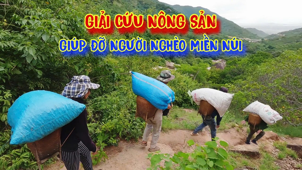 GIẢI CỨU nông sản, vượt đèo, lội suối, vận chuyển TRÁI CÂY giúp đỡ người nghèo - tập 1151