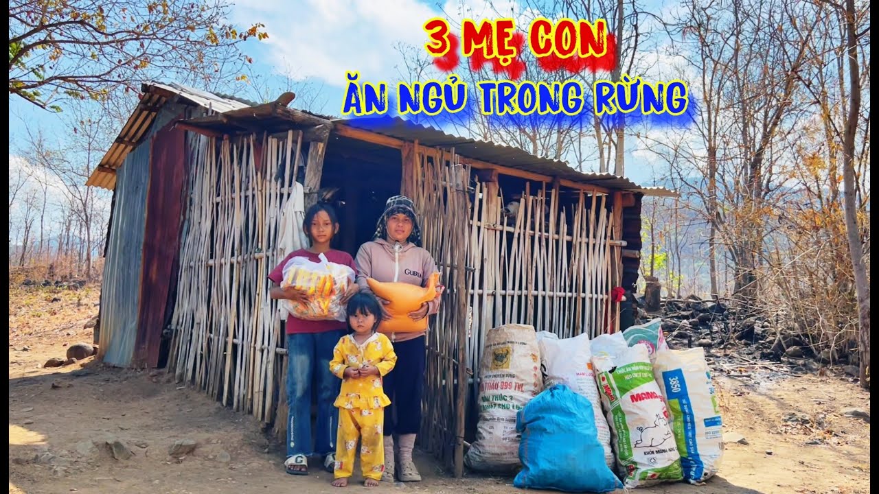 3 MẸ CON, ăn ngủ trong rừng, lụm PHÂN đổi gạo ăn, để TỒN TẠI - 1029