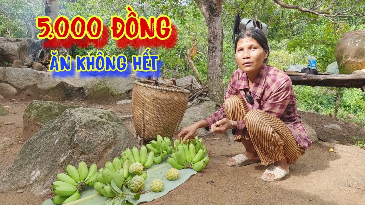 MÓN ĂN trời ban, trái cây rừng thiên nhiên, THƠM NGON, siêu rẻ tiền - tập 1145