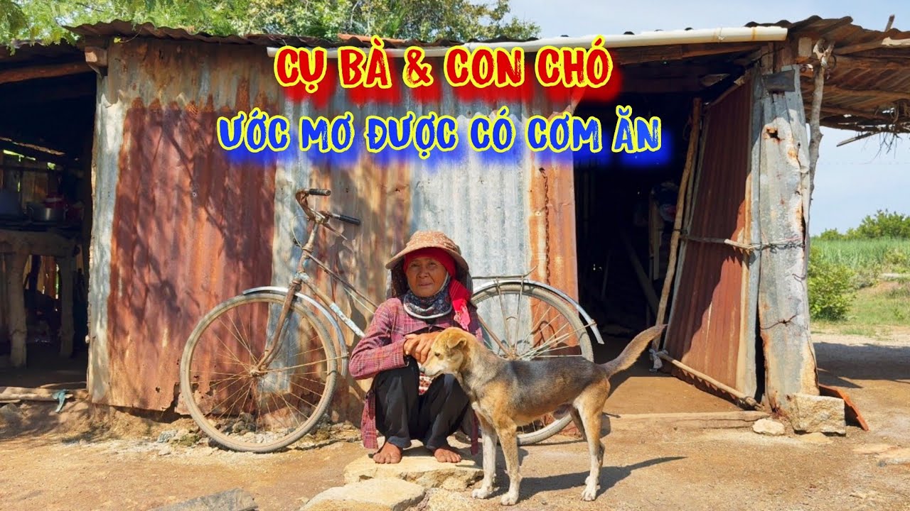 CỤ BÀ và con chó, sống trong CĂN NHÀ mục nát, CƠM ăn bữa đói, BỮA NO - tập 1123