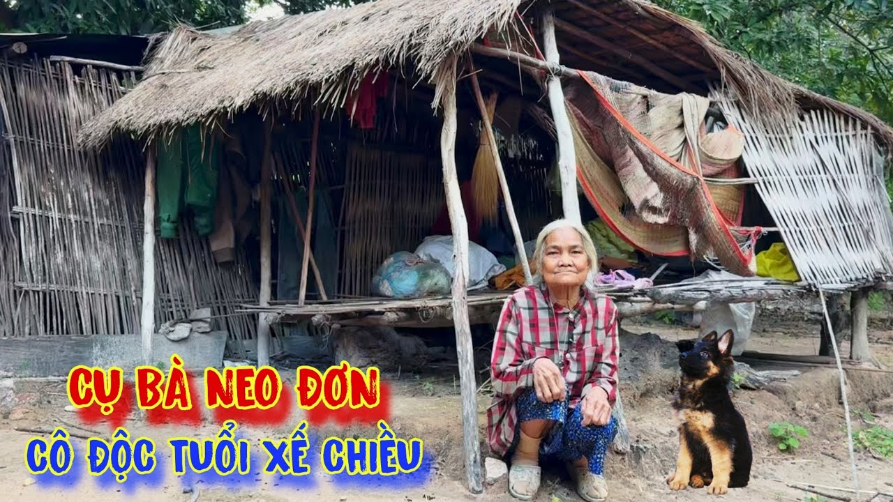 MẸ GIÀ vất vả nuôi con, hi sinh tất cả vì con, đến khi khôn lớn con bỏ rơi Mẹ - tập 922