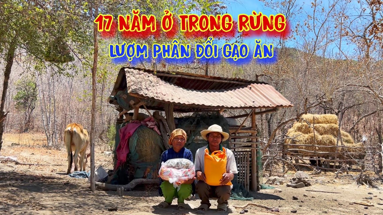 17 NĂM, ăn ngủ trong rừng, lụm PHÂN đổi GẠO, ở CĂN NHÀ mục nát - tập 1040