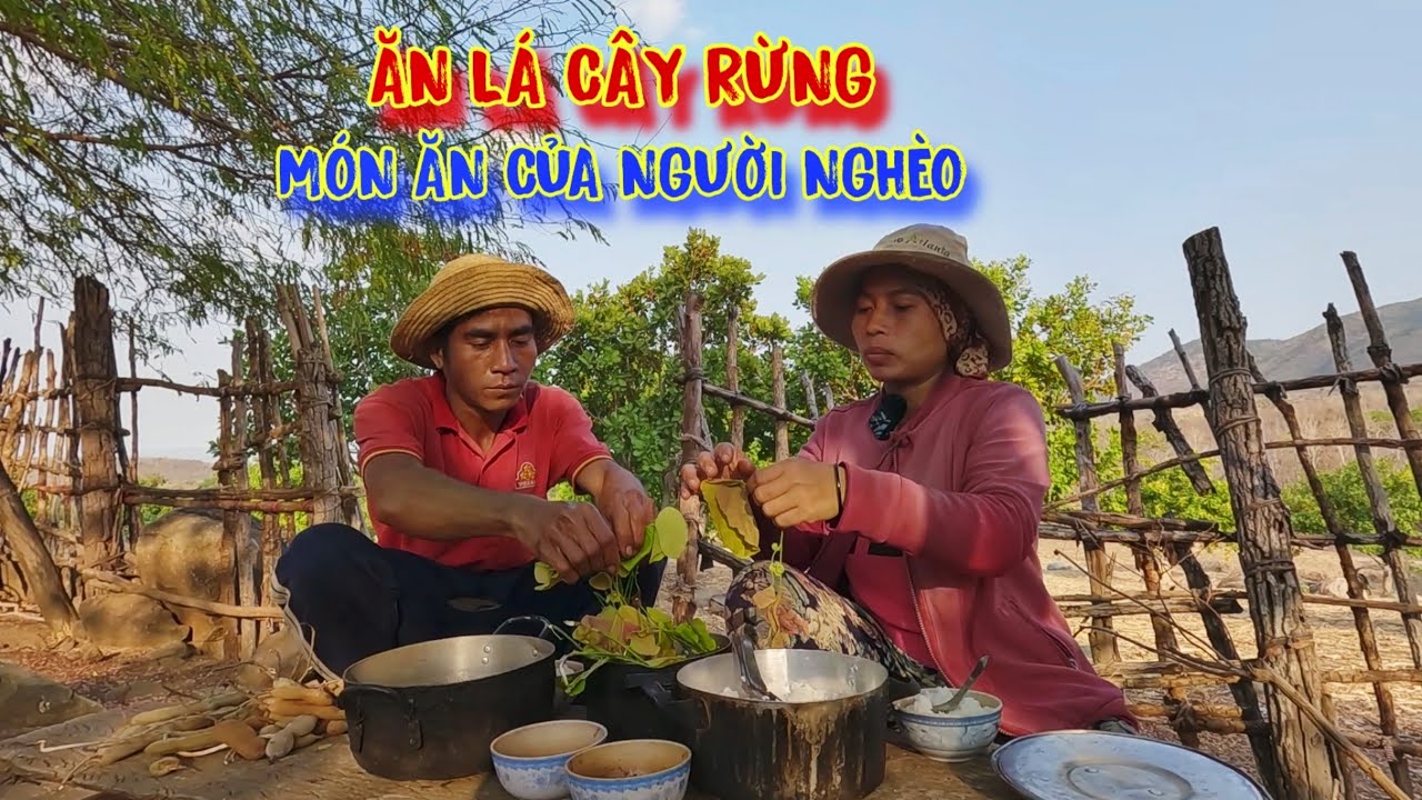 ĂN NGỦ ở trong rừng, ăn LÁ CÂY, uống nước suối, ƯỚC MƠ được nhìn thấy THÀNH PHỐ - tập 1011