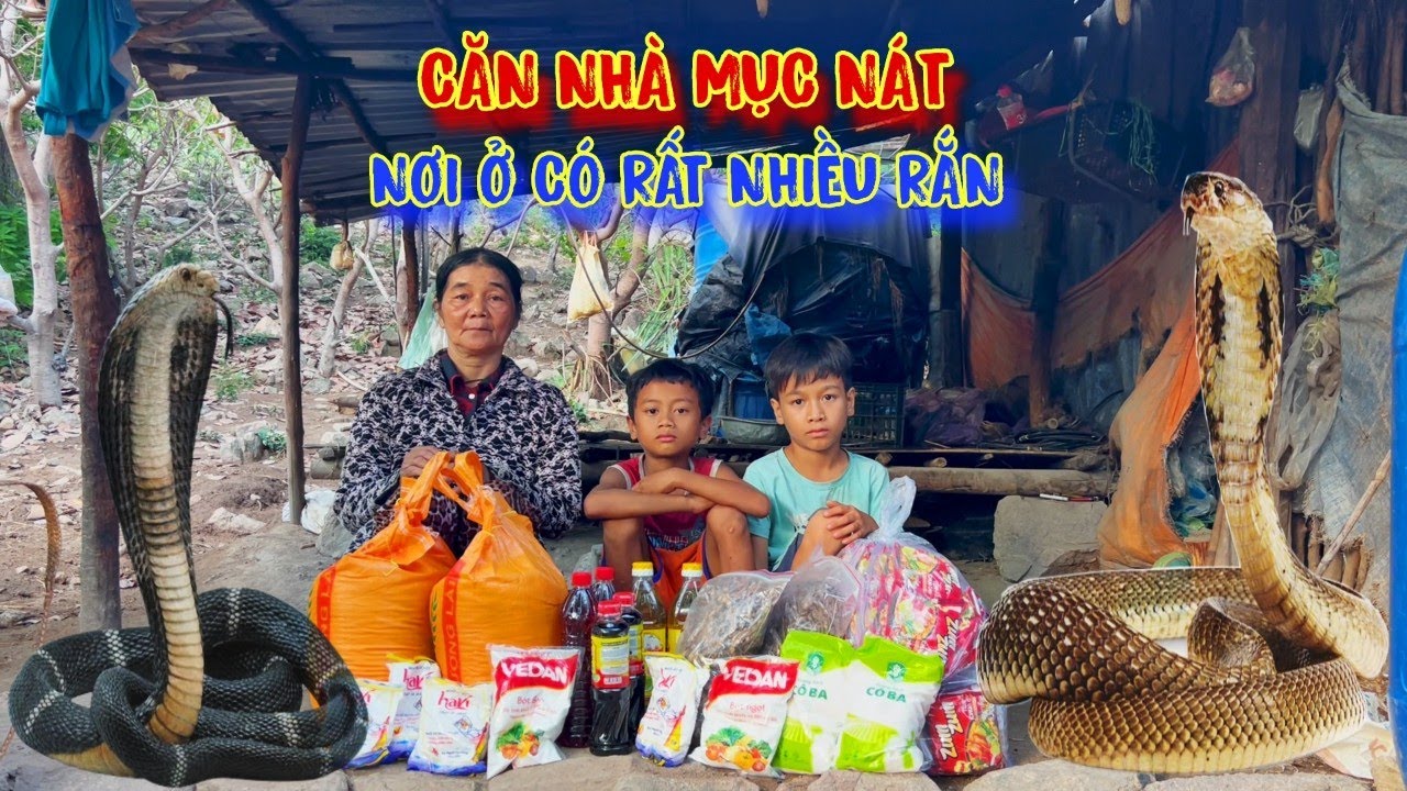 3 BÀ CHÁU dắt nhau vô rừng ở TRÚ ẨN, trong ngôi nhà RẮN - tập 1087