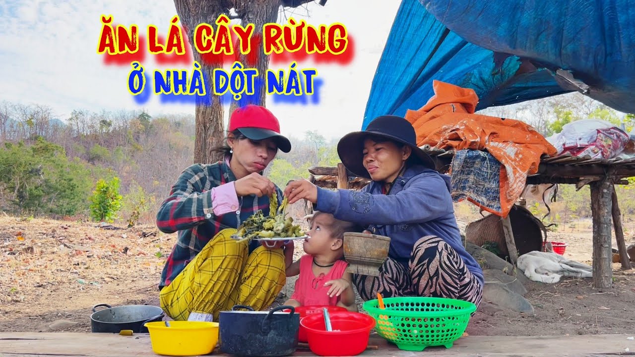 TẬN CÙNG của nỗi khổ, chạy lên đỉnh núi cao LỤM phân đổi GẠO, ăn LÁ CÂY rừng - tập 1005