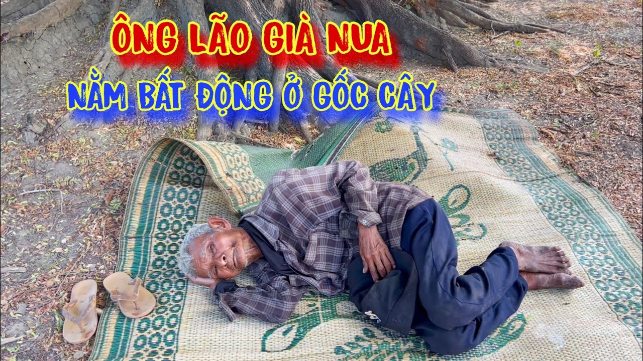 XÓT XA ông cụ nằm BẤT ĐỘNG trong rừng, CƠM không đủ ăn, ÁO không đủ mặc - tập 978