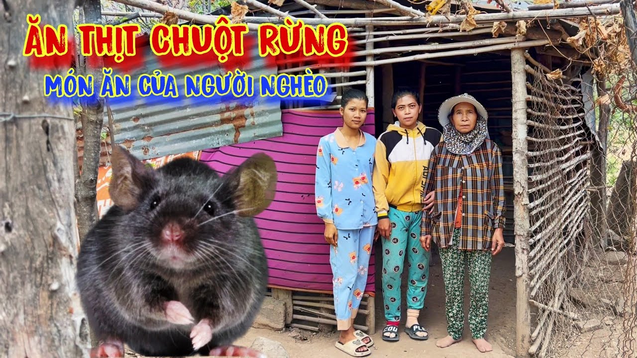 BẮT CHUỘT ăn thịt, bữa ăn CƠM của người nghèo, ĐÓI KHỔ có gì ăn nấy - tập 980