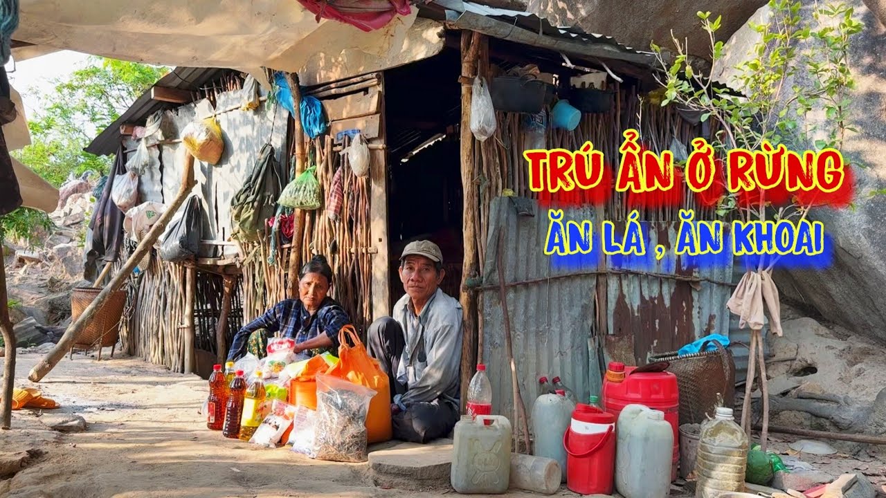 BỎ LÀNG lên núi cao TRÚ ẨN, ăn khoai, ăn lá, sống như người rừng - tập 1074