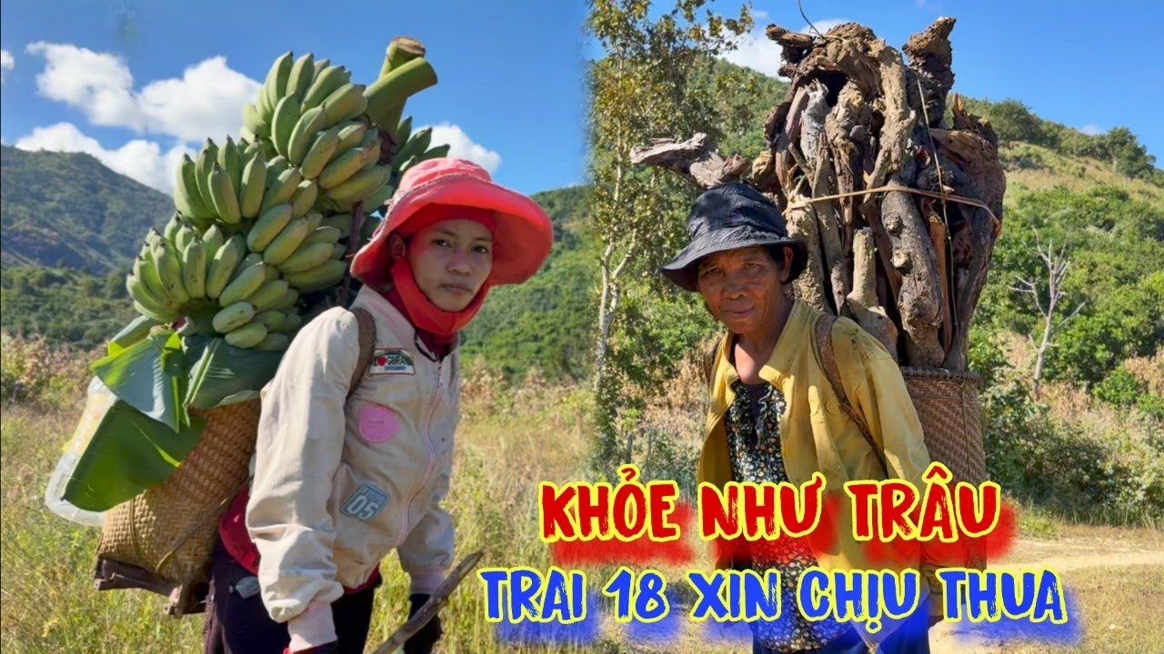 KHỎE NHƯ TRÂU 2 người phụ nữ vác 2 gùi CHUỐI CỦI ai nhìn thấy cũng BÁI PHỤC - tập 932