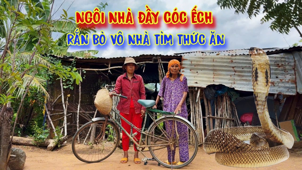 TẬN CÙNG của sự nghèo khổ, 2 mẹ con ở trong CĂN NHÀ mục nát, có rất nhiều RẮN - tập 1156