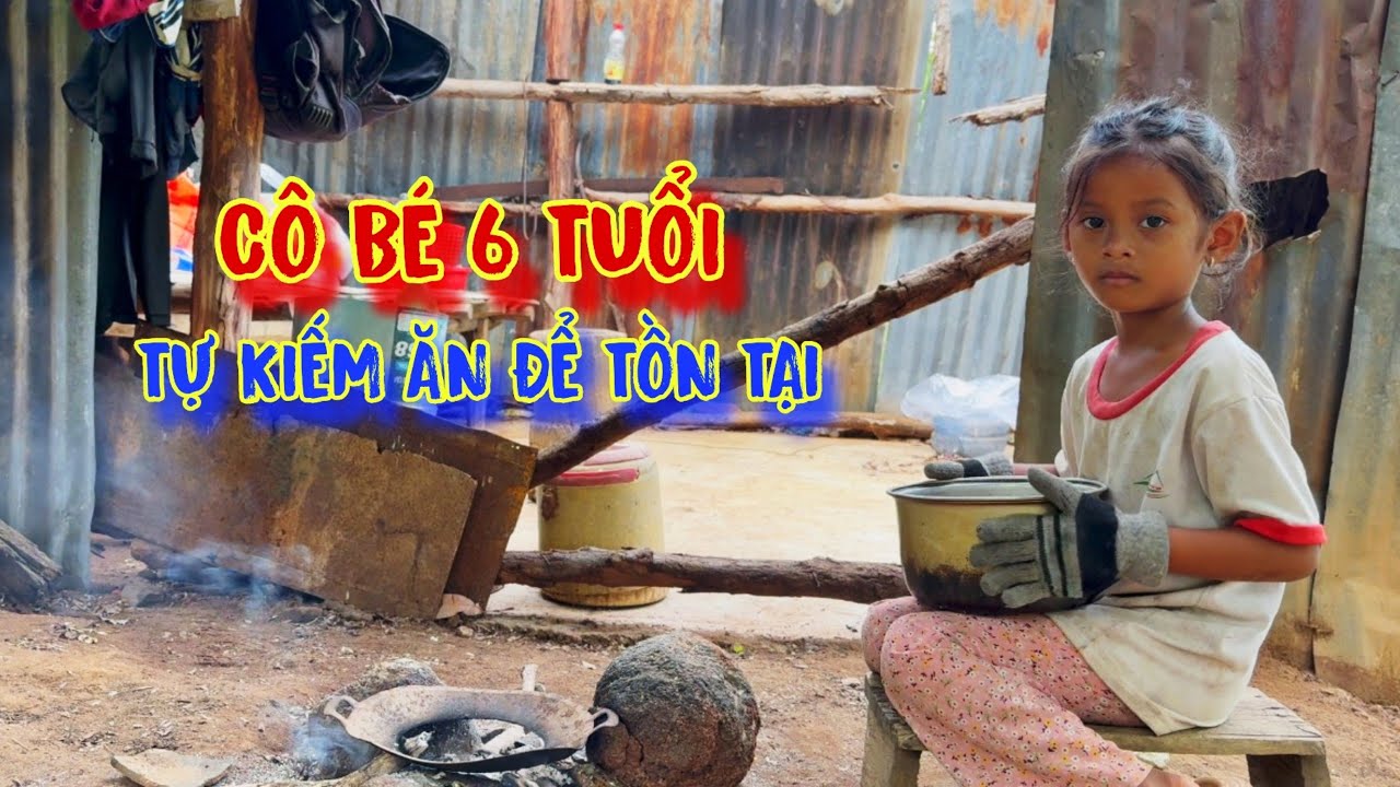 CÔ BÉ 6 tuổi, lang thang ở rừng, HÁI NẤM, tự nấu ăn, trú ẩn trong CĂN NHÀ mục nát - tập 1098