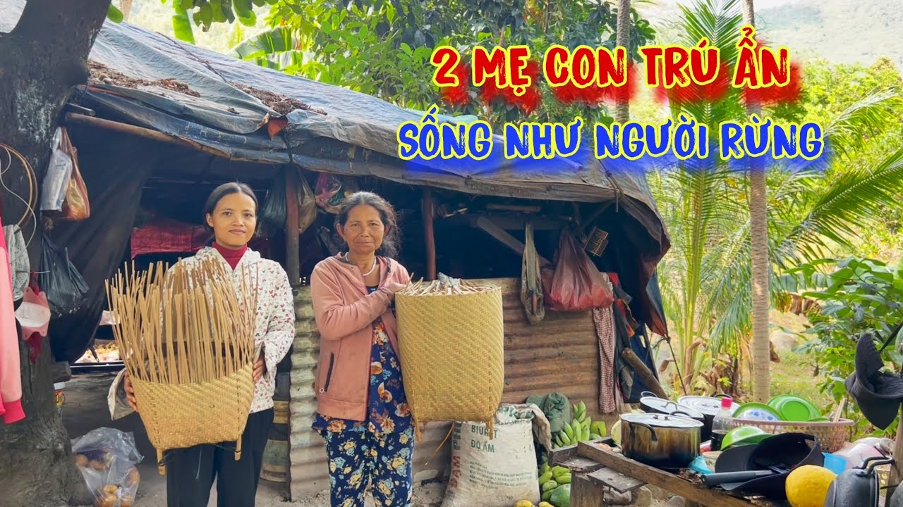 2 MẸ CON ở khu rừng, trú ẩn trong căn nhà RÁCH NÁT, ĂN LÁ, ĂN KHOAI để sống - tập 945