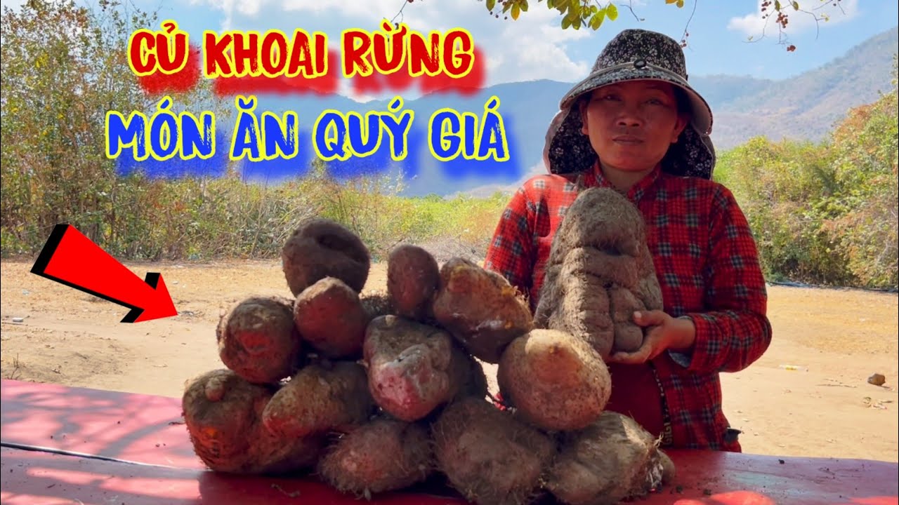 MÓN ĂN nuôi sống cả GIA ĐÌNH nghèo, ăn KHOAI rừng thay CƠM - tập 979