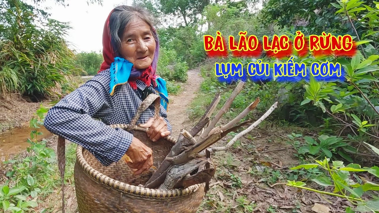 BÀ LÃO lạc trong rừng, ĂN Ở một mình, không nơi NƯƠNG TỰA - tập 1065