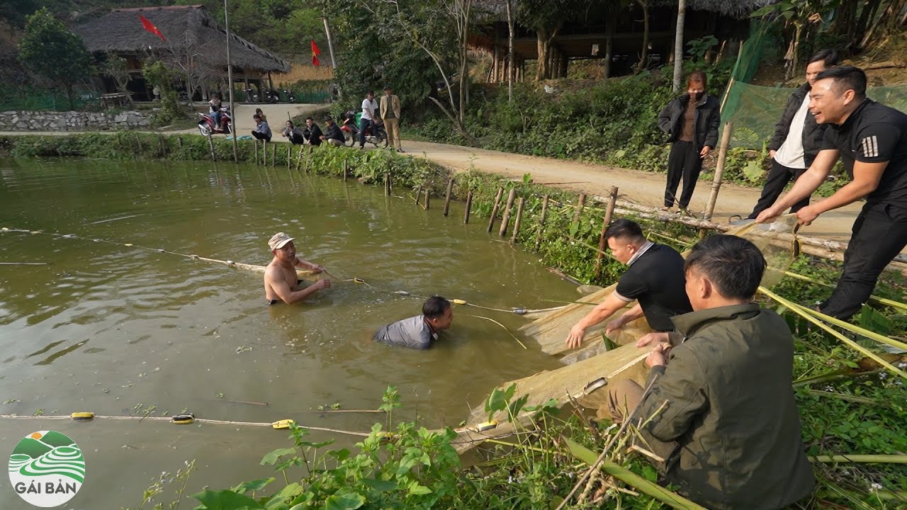 Vợ chồng A Tú về quê ăn Tết - Kéo lưới bắt cá ăn tết ở nhà sàn người Tày