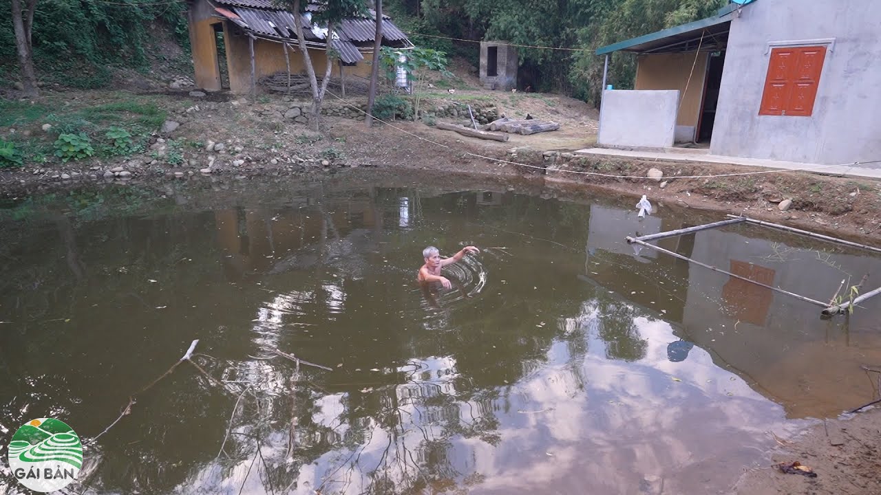 Làm nhà Chị Nườn (T 12 )| Mẹ con chị Nườn dào vườn trồng rau - lên kế hoạch sử lý ao cá ông Viên gấp