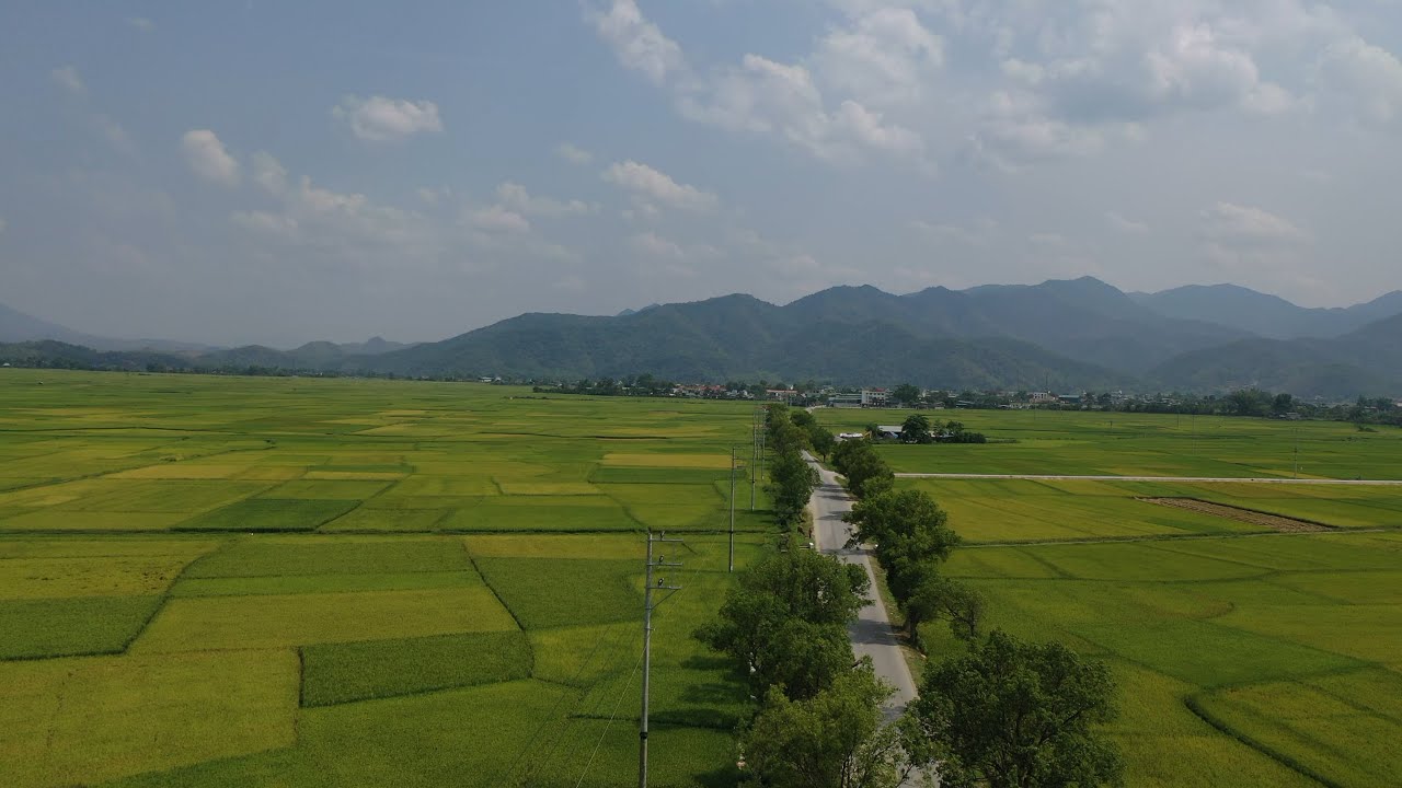 Bản làng người Thái cánh đồng Mường Thanh  Điện Biên | Đi tận cửa khẩu Lào toàn đèo cao