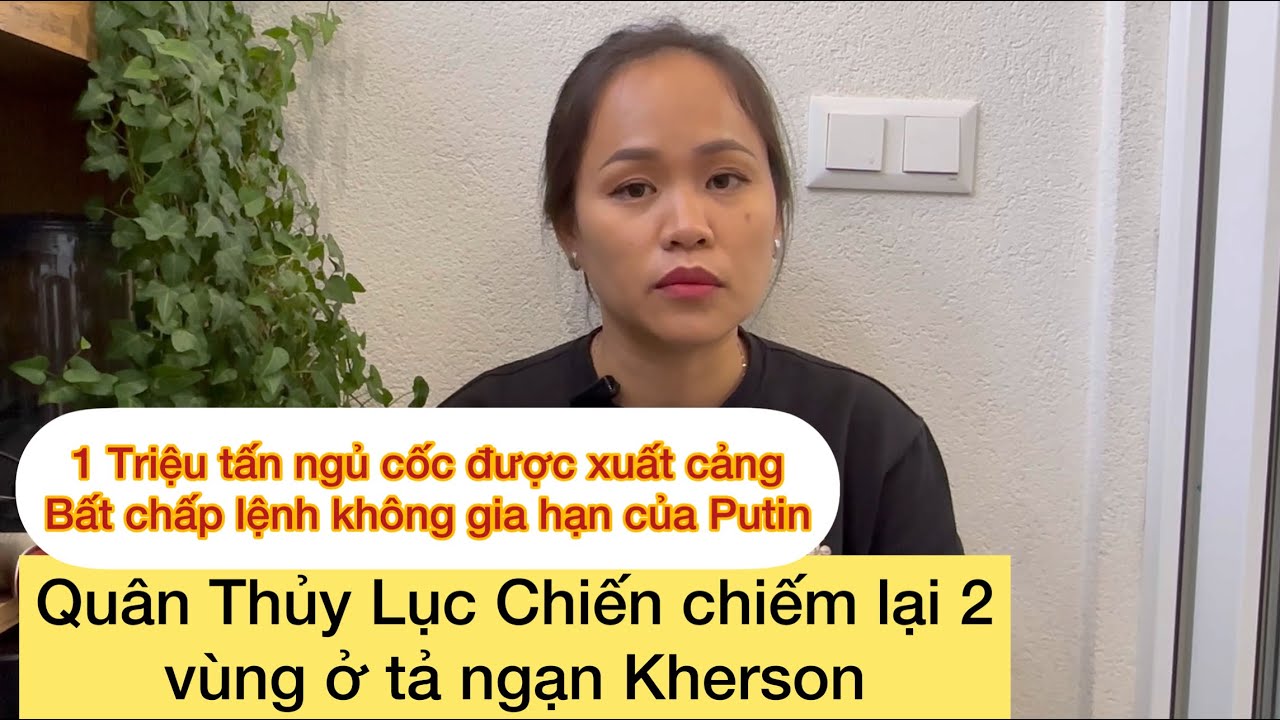 Ukraine Chiếm Lại Từ Quân Xâm Lược Hai Vùng ở Tả Ngạn Kherson /1 Triệu Tấn Ngủ Cốc được xuất-1 tháng