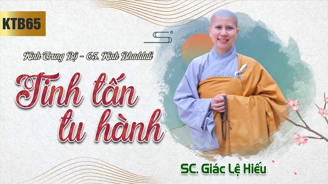 Tinh tấn tu hành - Kinh Trung Bộ 65 - Kinh Bhaddali - SC. Giác Lệ Hiếu