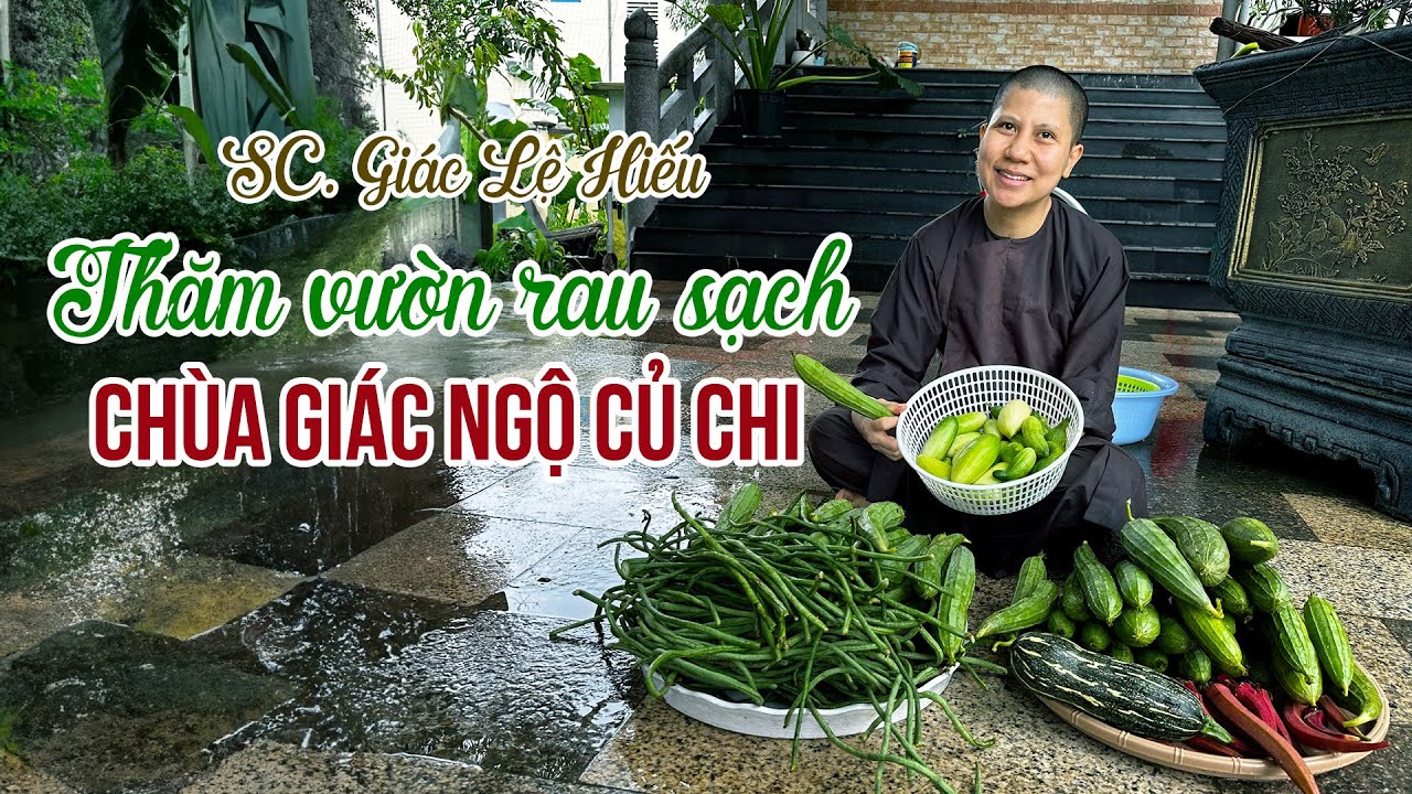 Thăm vườn rau sạch chùa Giác Ngộ Củ Chi - SC. Giác Lệ Hiếu