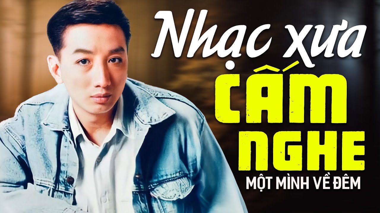 Liên Khúc GÕ CỬA TRÁI TIM - Trường Vũ - Nhạc Xưa Hải Ngoại Buồn Cực Thấm CẤM NGHE MỘT MÌNH VỀ ĐÊM