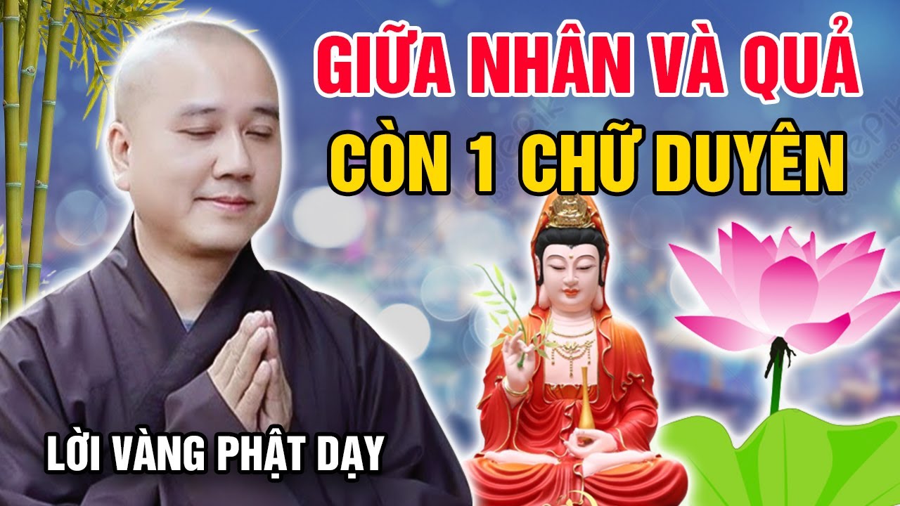 GIỮA NHÂN VÀ QUẢ - CÒN 1 CHỮ DUYÊN (Lời Vàng Phật Dạy) | Thầy Thích Pháp Hòa Canada