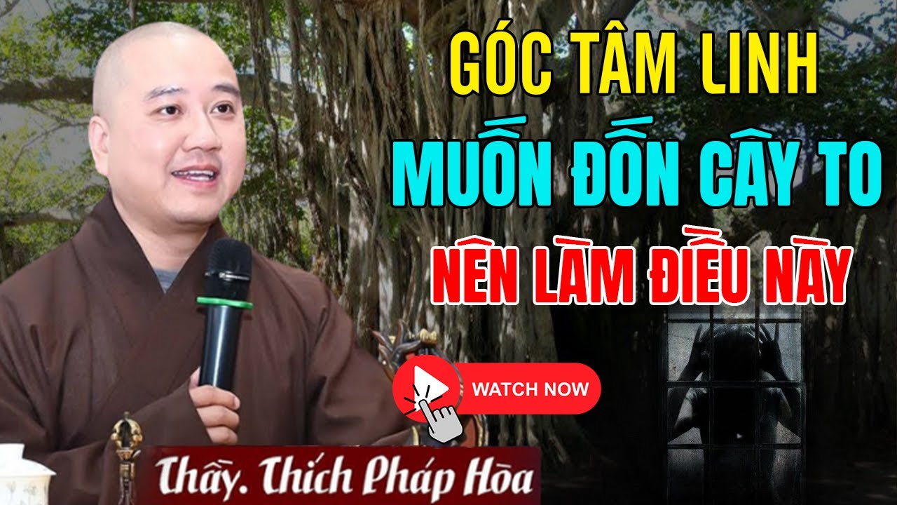 GÓC TÂM LINH: CH.ẶT CÂY TO Phải Biết Điều Này - KẺO RƯỚC HỌA | Thầy Thích Pháp Hòa (Mới Nhất 2024)