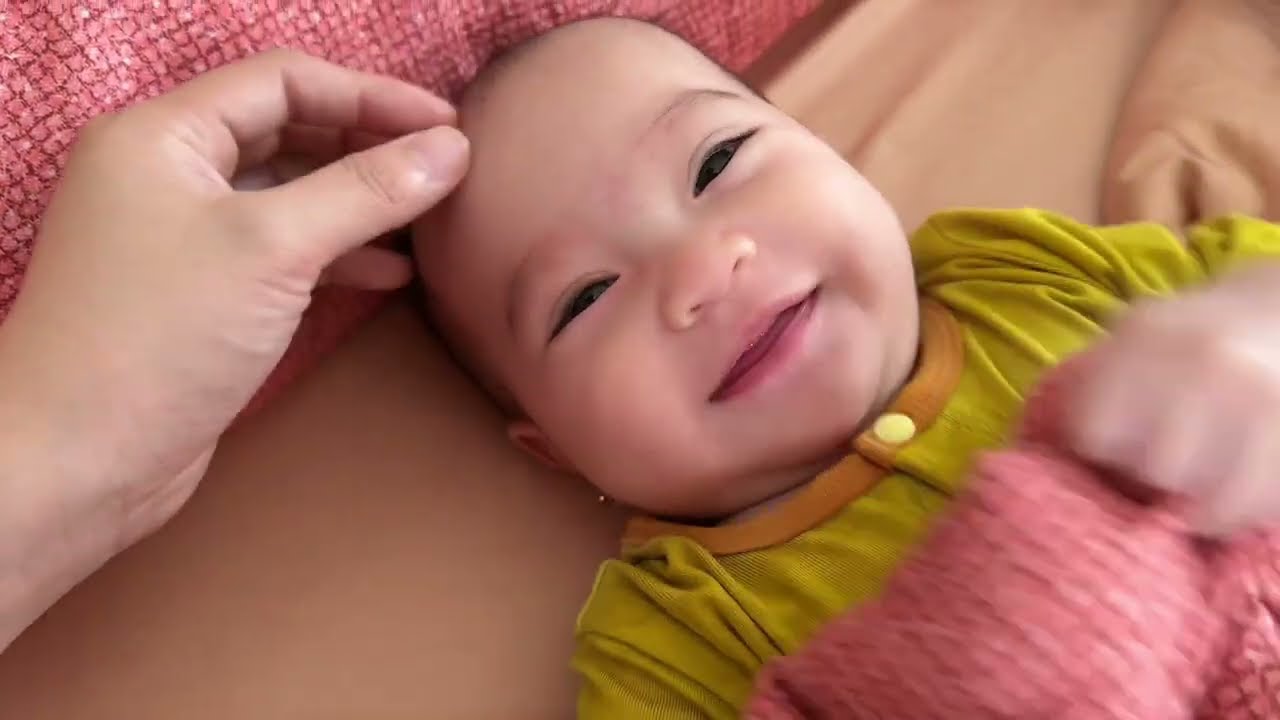 Vlog 2511 ll HANA CẦM NC ĐT VỚI BÀ NỘI - KHU VƯỜN TRÁI SUM SUÊ TẠI MỸ MẬN - BƠ - LÊKIMA - MÃN CẦU NA