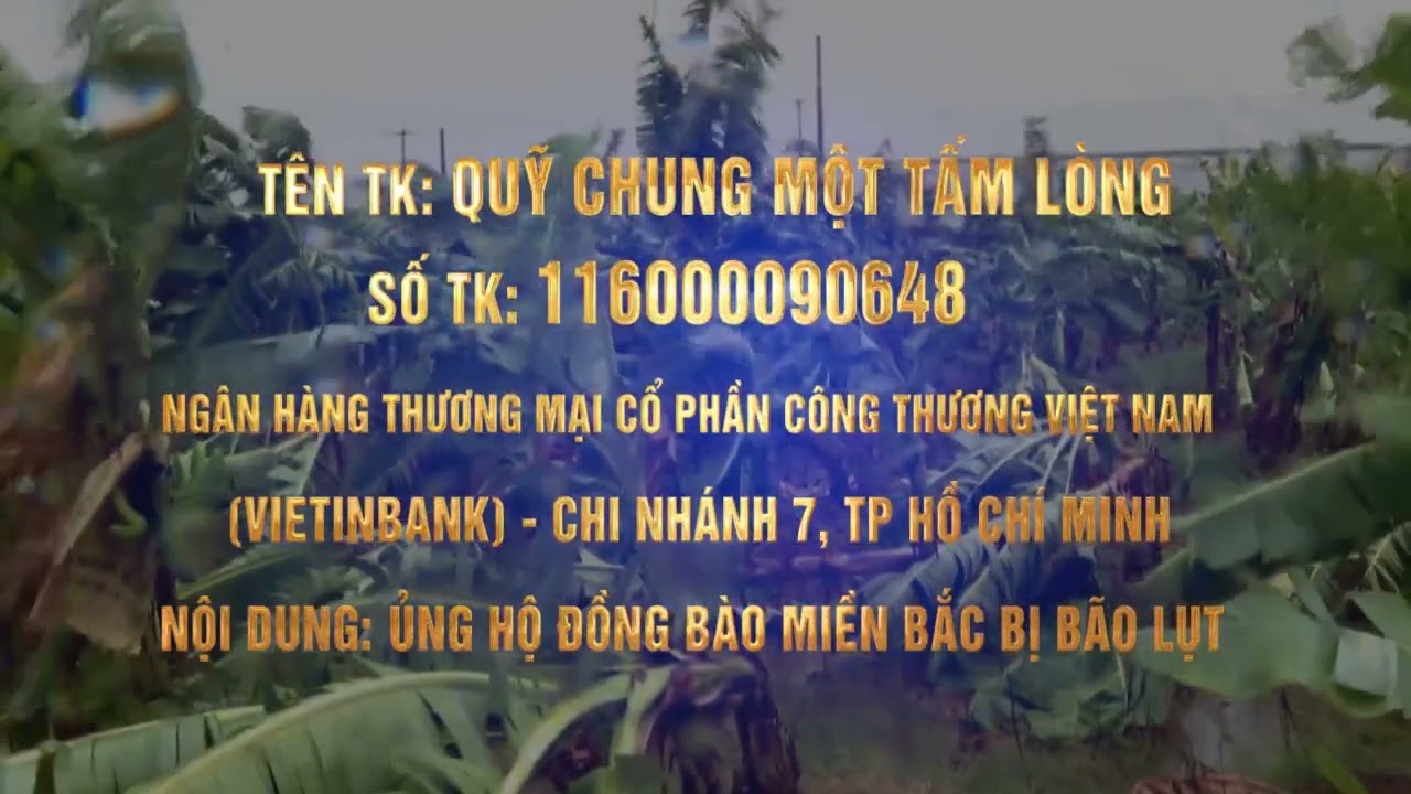 Chung một tấm lòng - Vì đồng bào miền Bắc thương yêu!