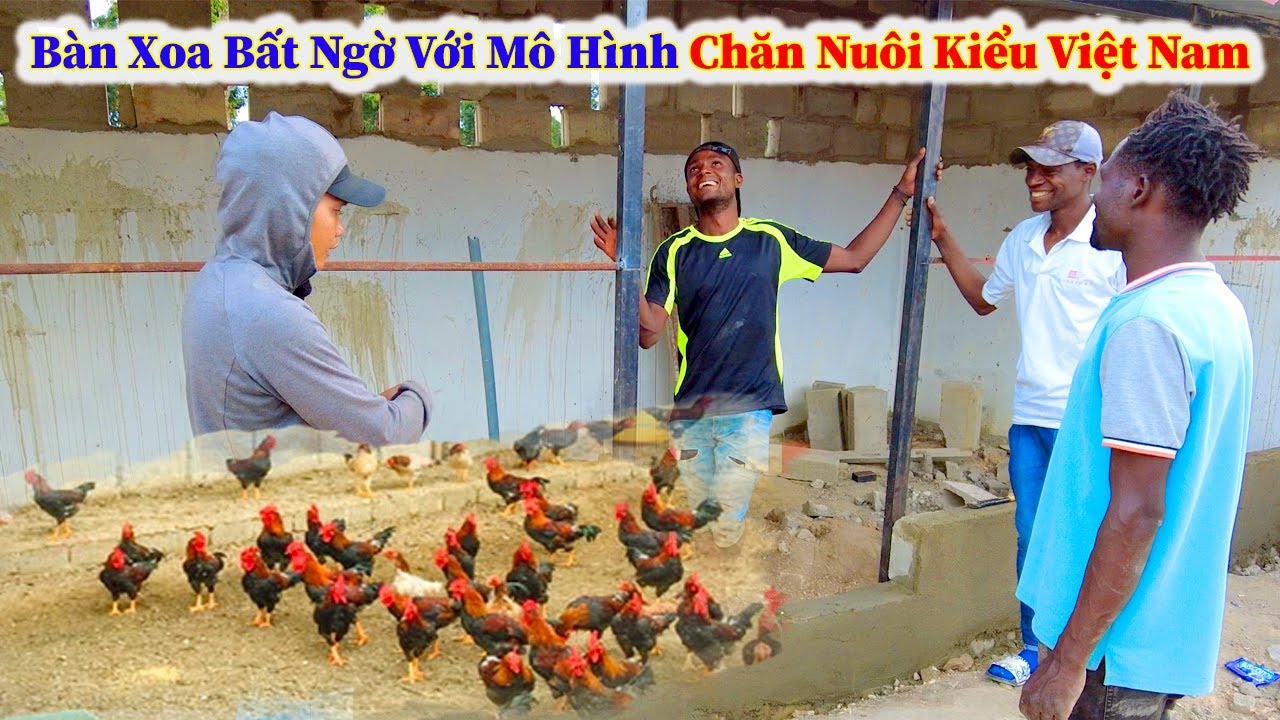 Hùng KaKa ll Đưa Mô Hình Chăn Nuôi Kiểu Việt Nam Đến Với Châu Phi ?